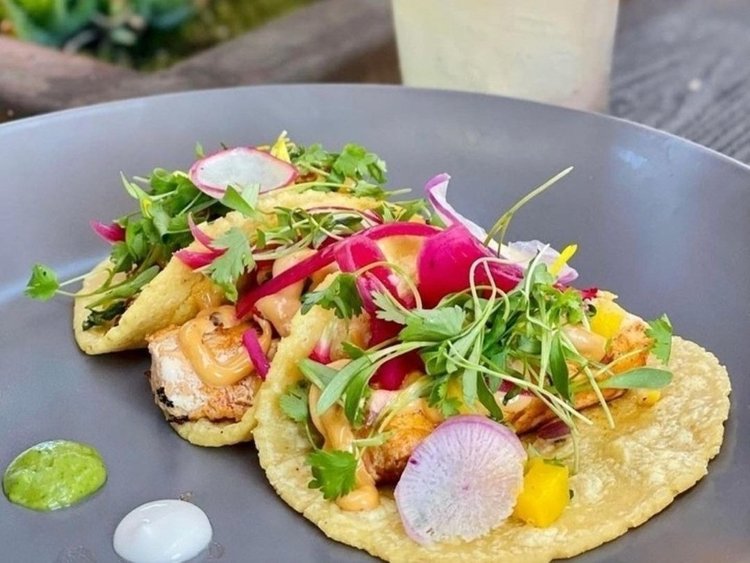 open tacos on a gray plate with meat, microgreens, and pink radish slices