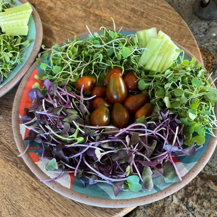 plates of colorful mixed greens with cucumber slices and tiny tomatoes
